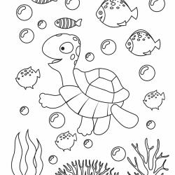 Voici un Coloriage tortue de mer à imprimer gratuitement. Un dessin de tortue à imprimer pour tous les petits amoureux des animaux de la mer.