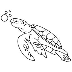 Coloriage des animaux marins. Dessin des animaux vivants dans la mer, tous les animaux de la mer : les poissons, les mammifères marins comme les baleines et les dauphins et aussi les coquillages et le