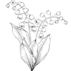 Des dessins de fleurs et de brins de muguet à imprimer pour que les enfants puissent s’amuser à colorier le muguet du 1er mai. Et oui le muguet s’offre aussi en coloriage le 1er mai jour de la fête du