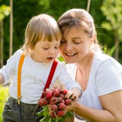 Comment créer un jardin potager avec vos enfants
