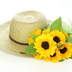 La Sainte Catherine se fête chaque 25 novembre. Elle célèbre les petites filles qui apprécient s'offrir des cartes pour l'occasion mais aussi les catherinettes. Des femmes qui ont plus de 25 ans et qu