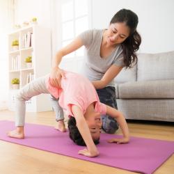 Corps humain : activités sur le corps et les organes