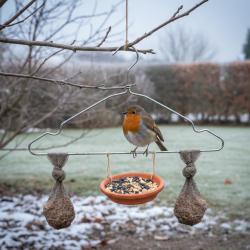 Ne le jetez plus : ce vieux cintre peut vraiment aider les oiseaux à passer l’hiver