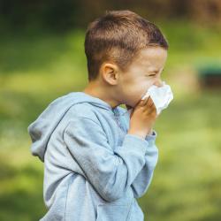 Allergies : 7 choses à mettre en place pour éviter les problèmes