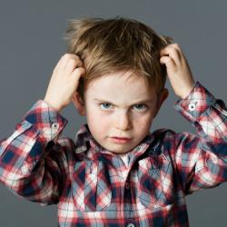 qu'est ce qu'une lente ? Comment la reconnaitre ? Ce petit insecte est deteste de tous les parents et a chaque rentree, a chaque fois que l'enfant se gratte les cheveux, tous les parents n'ont qu'une 