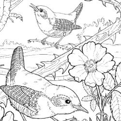 Dessin fleur : voici un dessin à imprimer avec une jolie fleur. Un coloriage à imprimer sur le thème des fleurs et de la nature - Page 18