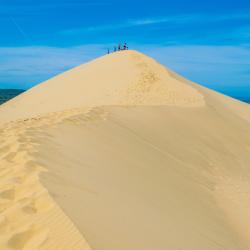 dune - mot du glossaire Tête à modeler. Définition et activités associées au mot dune.