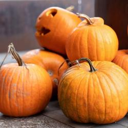 Comment conserver plus longtemps sa citrouille d'Halloween ?
