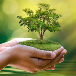 Ecologie et environnement : la sauvegarde la planète - Un dossier pour premettre aux parents de comprendre et d'expliquer l'écologie à leurs enfants. L'écologie au sens le plus large est l'affaire de 