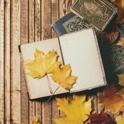 Technique pour faire sécher les feuilles d'automne. Elle pourront Ítre utilisées pour les bricolages ou les loisirs créatifs.