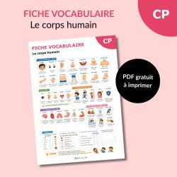 Téléchargez une fiche vocabulaire sur le corps humain pour la maternelle et le CP. Activités, exercices et mots illustrés à imprimer gratuitement.