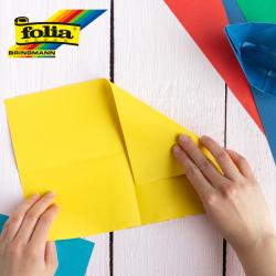 Découvrez Folia, la marque idéale pour des activités manuelles ludiques avec vos enfants. Produits variés, kits malins et couleurs à gogo !