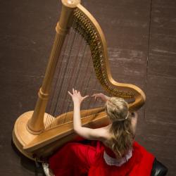 harpe - mot du glossaire Tête à modeler. Définition et activités associées au mot harpe.