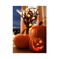 Activités sur l'histoire, les légendes et les  traditions d'Halloween pour tout connaître sur les origines de la fête, son histoire et ses traditions.