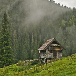 hutte - mot du glossaire Tête à modeler. Définition et activités associées au mot hutte.