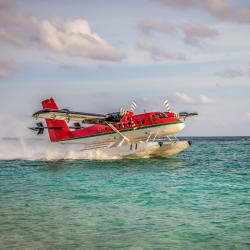 hydravion - mot du glossaire Tête à modeler. Définition et activités associées au mot hydravion.