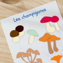 Faire un tableau pour identifier les champignons