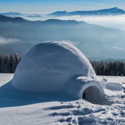 igloo - mot du glossaire Tête à modeler. Définition et activités associées au mot igloo.