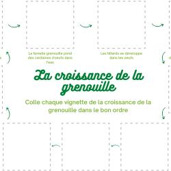 Utilise les vignettes de la croissance de la grenouille, découpe-les et vient les coller dans le bon sens sur cette page vide.