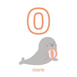 Imprimer la planche imagier minuscule "o" comme otarie pour créer un imagier pour les enfants