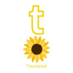 Imprimer la planche imagier minuscule "t" comme tournesol pour créer un imagier pour les enfants