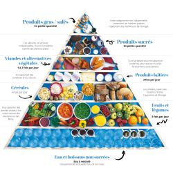 Imprimer la pyramide des aliments gratuitement. Les différentes familles d'aliments se retrouvent dans votre assiette et il est parfois difficile de s'y retrouver. Mettez la pyramide des aliments dans