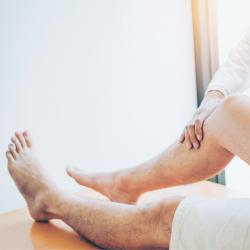 Jambe - mot du glossaire Tête à modeler. Définition et activités associées au mot Jambe.