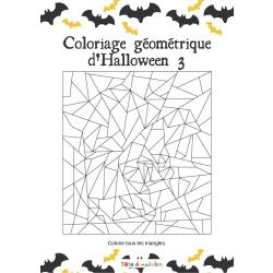 Ce jeu de coloriage géométrique demande la connaissance de notions géométriques : savoir identifier les triangles. Le jeu consiste à colorier tous les triangles afin de voir apparaitre l'image dissimu