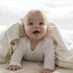 Eveil et jeux : Apprendre à votre bébé, dès son plus jeune age, ce qui lui est nécessaire pour se construire et mener une vie d'homme adulte et responsable.... Tout cet apprentissage comme avec l'évei