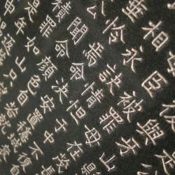 Peut-on parler d'une langue chinoise ? Le chinois est-il une langue unique ou existe-t-il plusieurs langues chinoises ?