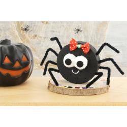 La petite araignée mignonne