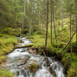 Le biotope est aussi appelé le milieu de vie. Le biotope est l'un des deux composants d'un écosystème. Le biotope ou milieu est un "lieu de vie" relativement stable caractérisé par un certai