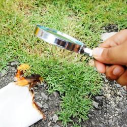 Les rayons du soleil concentrés par la loupe peuvent être très chauds, ce qui explique certains départs de feu avec un simple éclat de verre. Pe place ta main sous la loupe pour ressentir la chaleur d