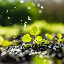 L'eau est indispensable à l'existence, le développement et la vie de l'eau. De sa conception à son industrie, l'homme a besoin de l'eau. Elle est une ressource si vitale qu'elle nous semble banale. L'