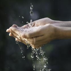 L'eau est indispensable à la vie, sans elle il n'y aurait aucune vie possible sur terre. Le constat est simple, tous les êtres vivants ont besoin d'eau pour exister, la terre étant, à ce jour, la seul
