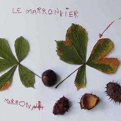 Collage pour découvrir les arbres et les leurs fruits d'automne. Fiche explicative illustrée et modèles gratuits.