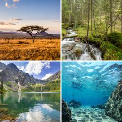 Il existe deux sortes de classement des écosystèmes, selon le biotope ou selon la biocénose. L'écosystème humain fait référence à la biocénose, à