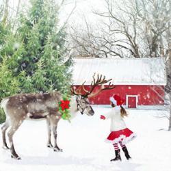 Les Rennes du Père Noël s’appellent Tornade, Danseuse, Furie, Fringant, Comète, Cupidon, Tonnerre, Eclair et Rudolph alors ?