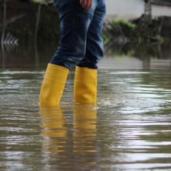 Les risques climatiques peuvent entraîner deux types de conséquences : la raréfaction de l'eau et la pollution de l'eau. Si certains risques naturels comme les cyclones ou les tempêtes peuvent êtres p