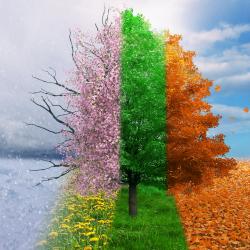 Les saisons sont des épisodes de trois mois en Europe durant lesquels on observe des variations de température et de climat ayant des conséquences sur la végétation et l