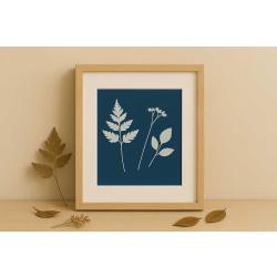 Nature morte en Cyanotype