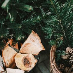 Des solutions pour savoir où jeter son sapin de Noël, infos, conseils