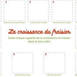 Tous les emplacements de cette planche sont vides, mais les enfants qui savent lire pourront s'aider des légendes expliquant chaque étape du cycle de vie du fraisier. C'est sur cette planche de jeu qu