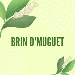 Poème sur le theme du muguet et du 1er Mai ,Poesie illustrée à imprimer et à colorier