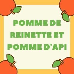 Pomme de reinette est une chanson pour enfant aussi connue comme "Pomme de reinette et pomme d'api". C'est une chanson très populaire auprès des enfants. Retrouvez les paroles de la comptine, la chans