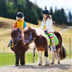 poney - mot du glossaire Tête à modeler. Définition et activités associées au mot poney.