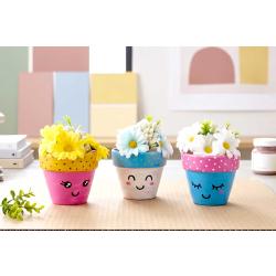 Pots de fleurs Kawaii
