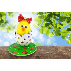 Poussin dans sa coquille