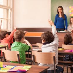 primaire - mot du glossaire Tête à modeler. Définition et activités associées au mot primaire.