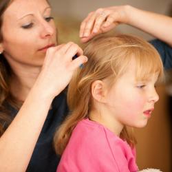 A quoi ressemble un pou ? Comment le reconnaitre ? Ce petit insecte est deteste de tous les parents et a chaque rentree, a chaque fois que l'enfant se gratte les cheveux, tous les parents n'ont qu'une